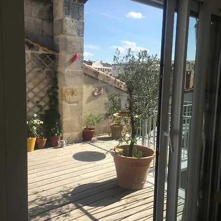 La Canopée-3
